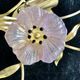 Barovier and Toso pair of flower model sonces in gold finish and gilding bouquets
