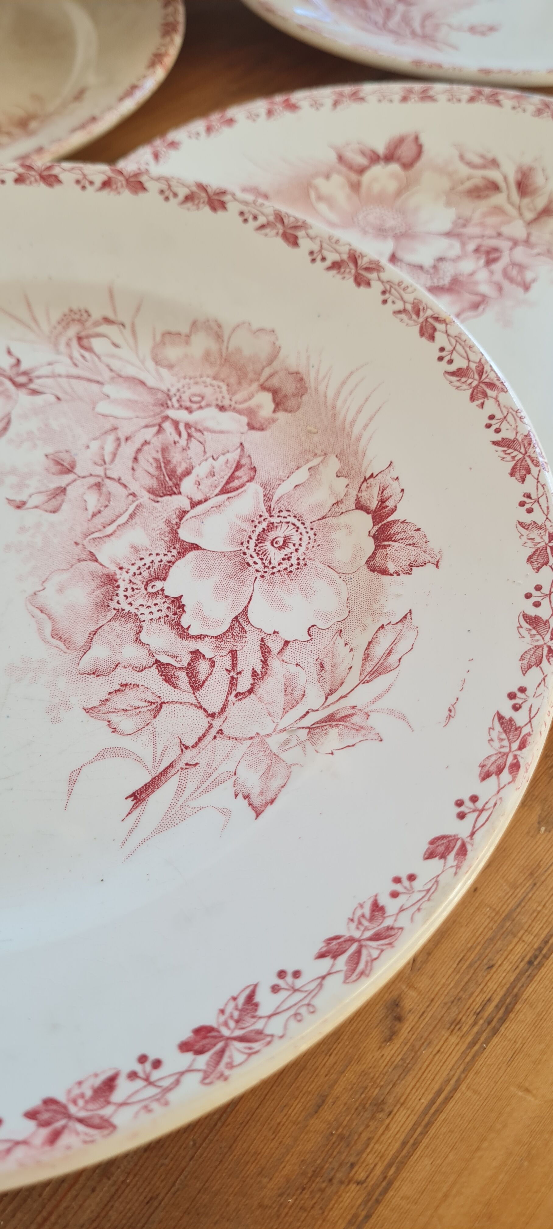 Serving of 6 plates in iron earth