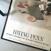 Original and official poster Moma New York, Irving Penn 1984