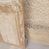 Pair of 18th century doors