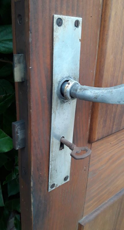 Door 176,3x69,8cm in Art Deco fir