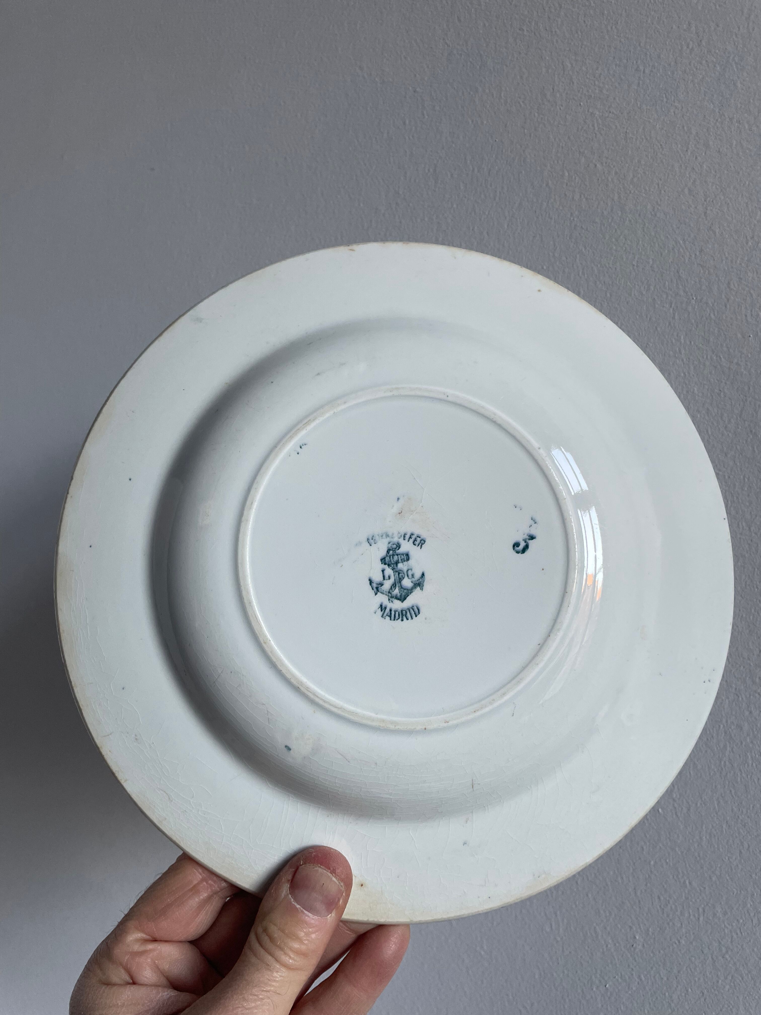 Set of 10 hollow plates Terre de Fer XIXth, model Madrid