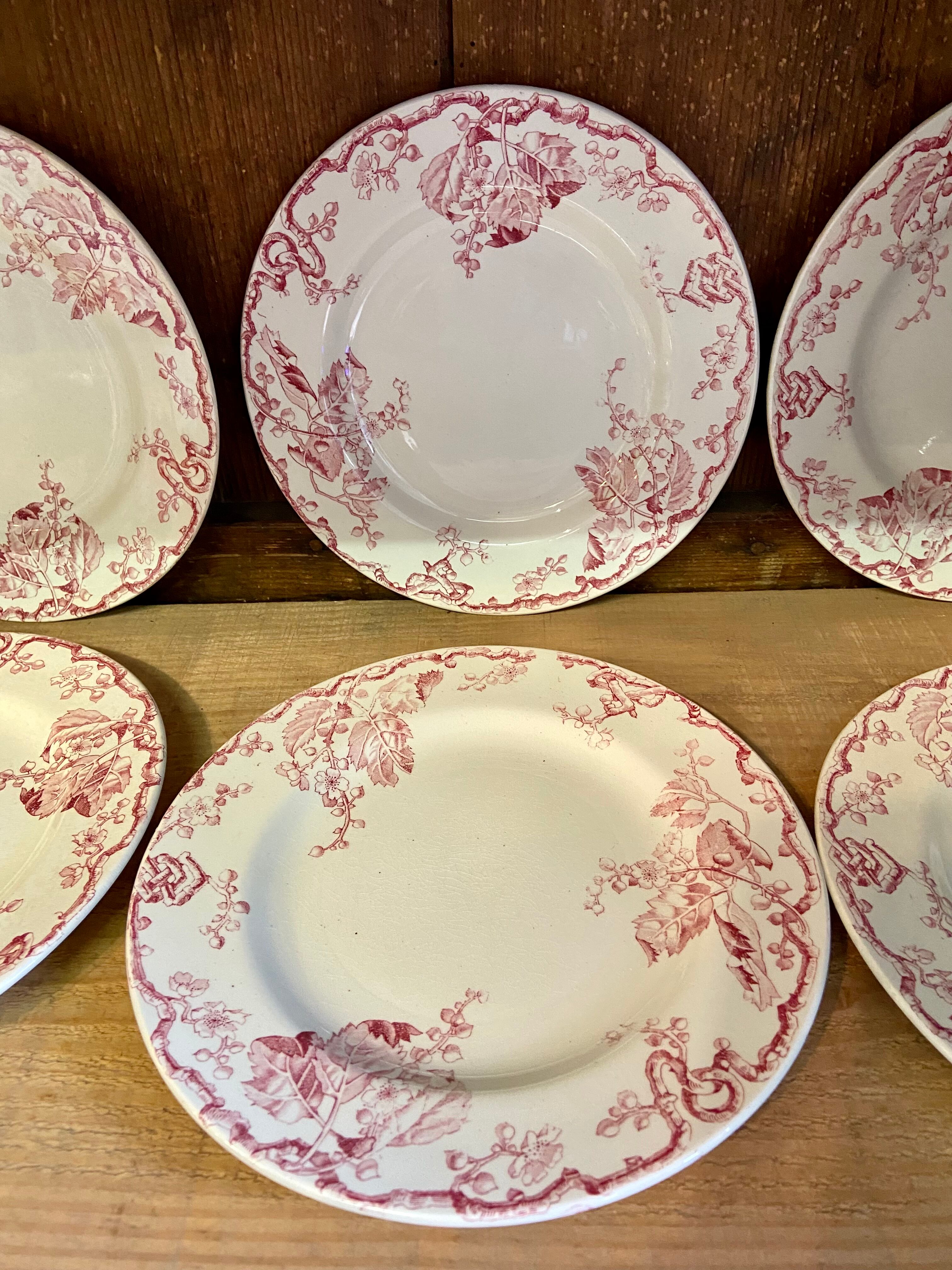10 plates Terre de Fer Rouge