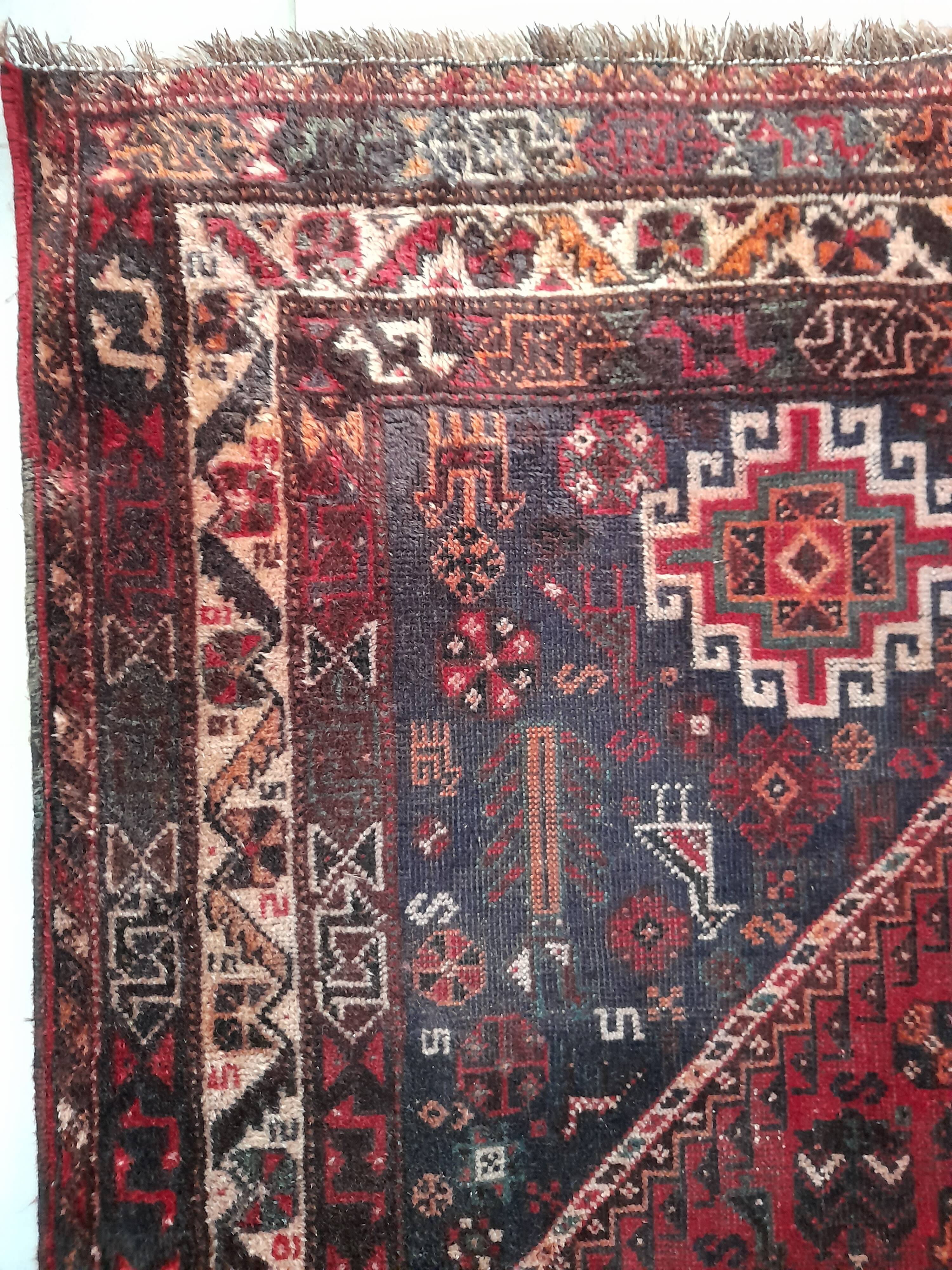 Shiraz carpet 295x215cm