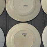 Set of 6 different flat plates