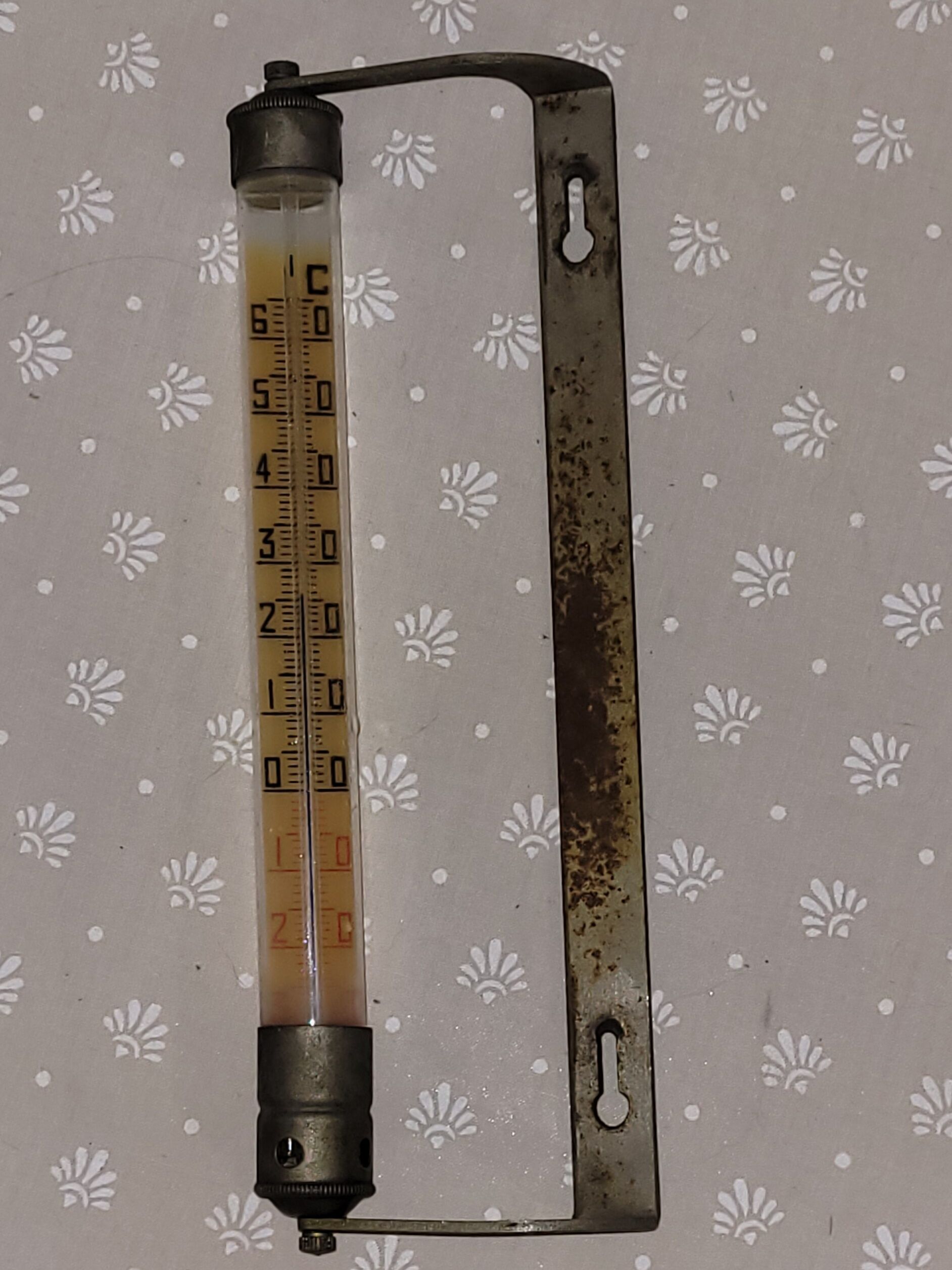 Wall-mounted industrial thermometer