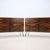Pair of credenzas Scandinavian 60s mahogany and Rosewood