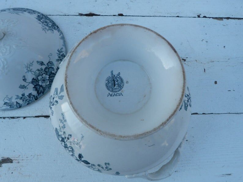 Old soup of The Hamge Wolves France Acacias