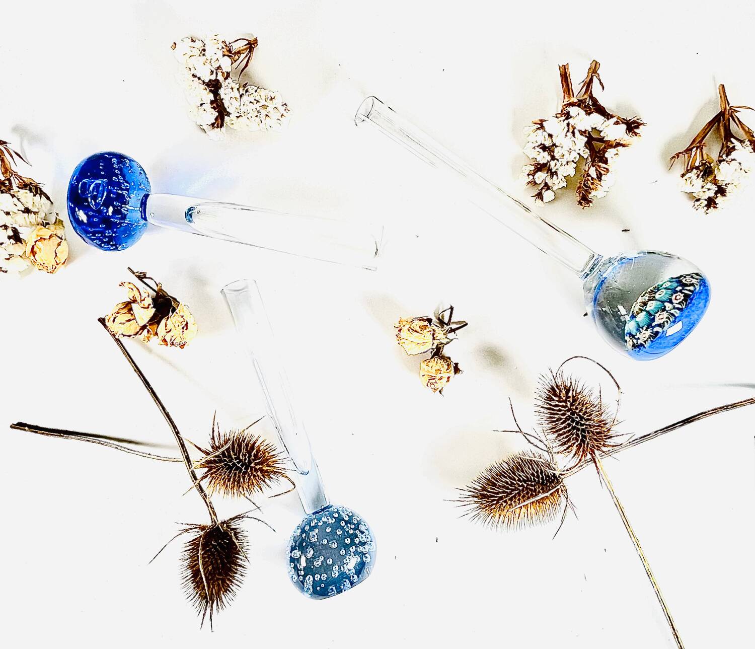 𝗈𝗅𝗂𝖿𝗅𝗈𝗋𝖾𝗌 bleus 𝖺𝗇𝗇𝖾𝖾𝗌 𝟩𝟢