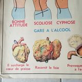 Poster school  excretion & hygiene first aid