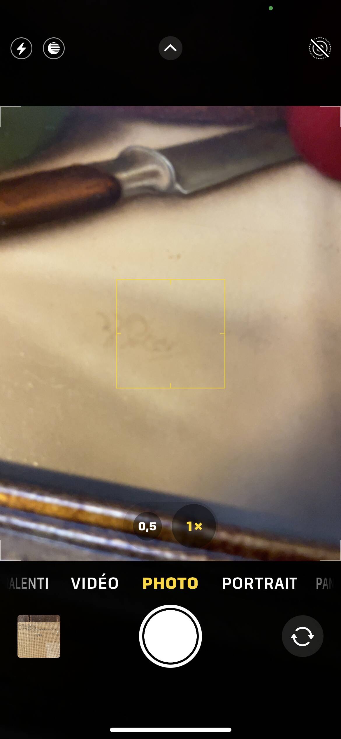 Still life with peppers, oil on panel, signed Peeters