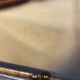 Still life with peppers, oil on panel, signed Peeters