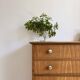 Vintage Scandinavian design commode from the 1950s.