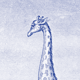 Lithography engraving vintage Buffon giraffe - A3 format