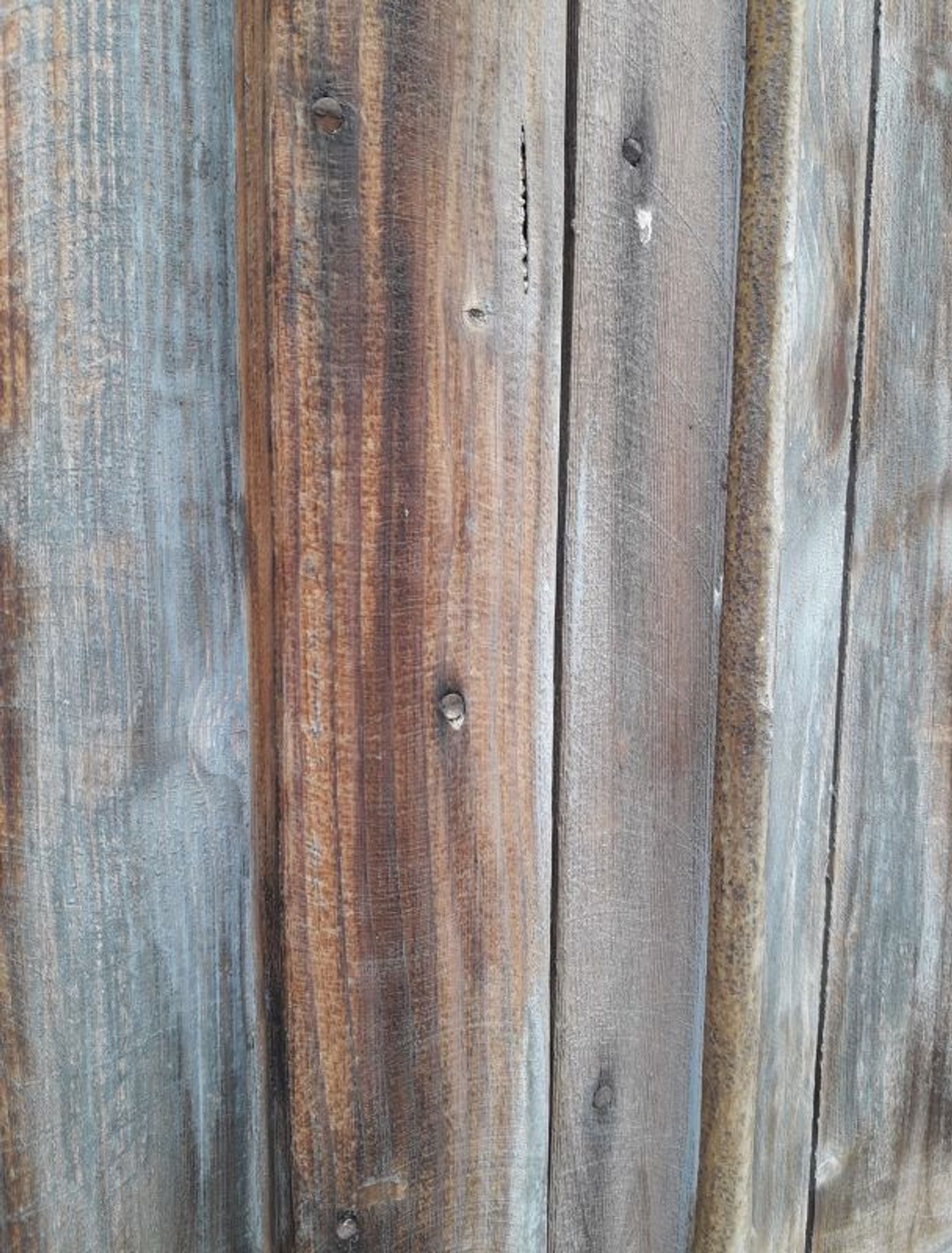 Pair of shutters fir hinges XVIII° old