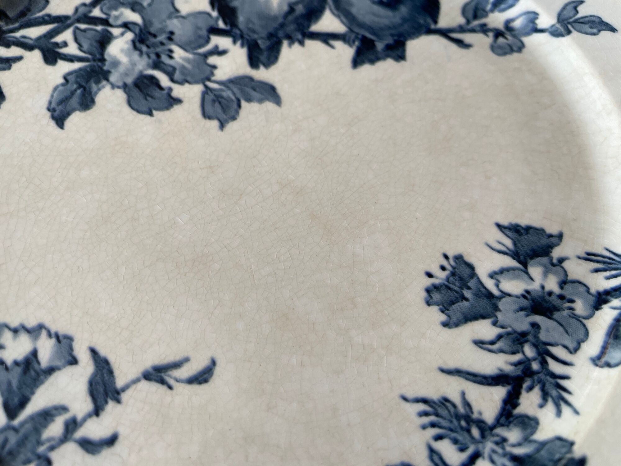 Flat plates Sarreguemines Terre de Fer model Blue Favorite