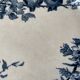 Flat plates Sarreguemines Terre de Fer model Blue Favorite