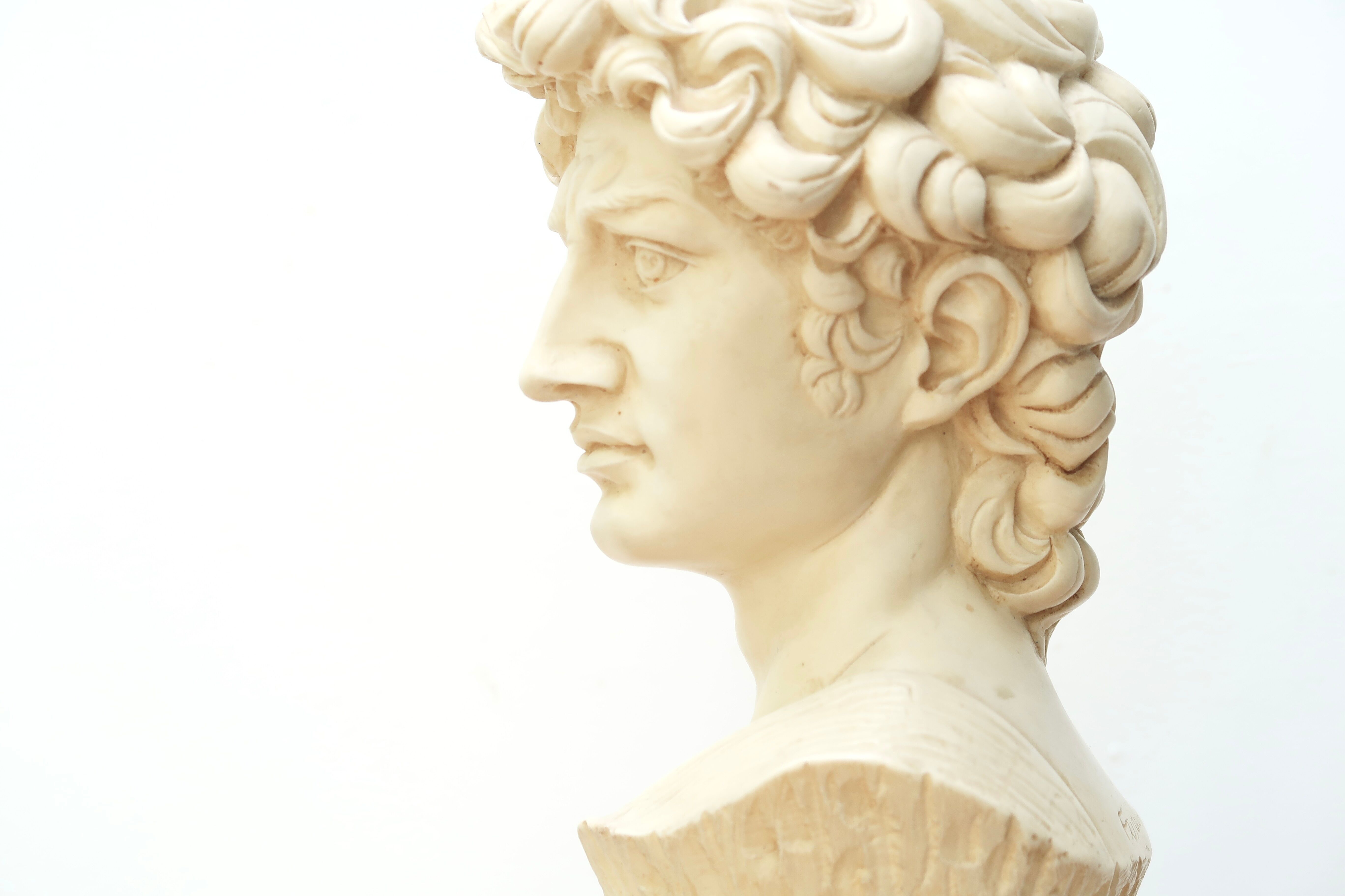 Bust of David by Michelangelo, 50s