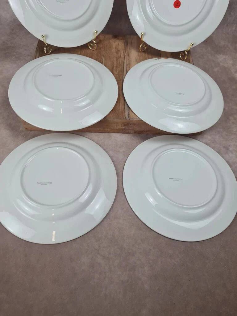 Set of 6 semi-deep plates Sarreguemines