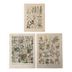 Reserved Anna - Set of 3 illustrated plates on 20th century plants
