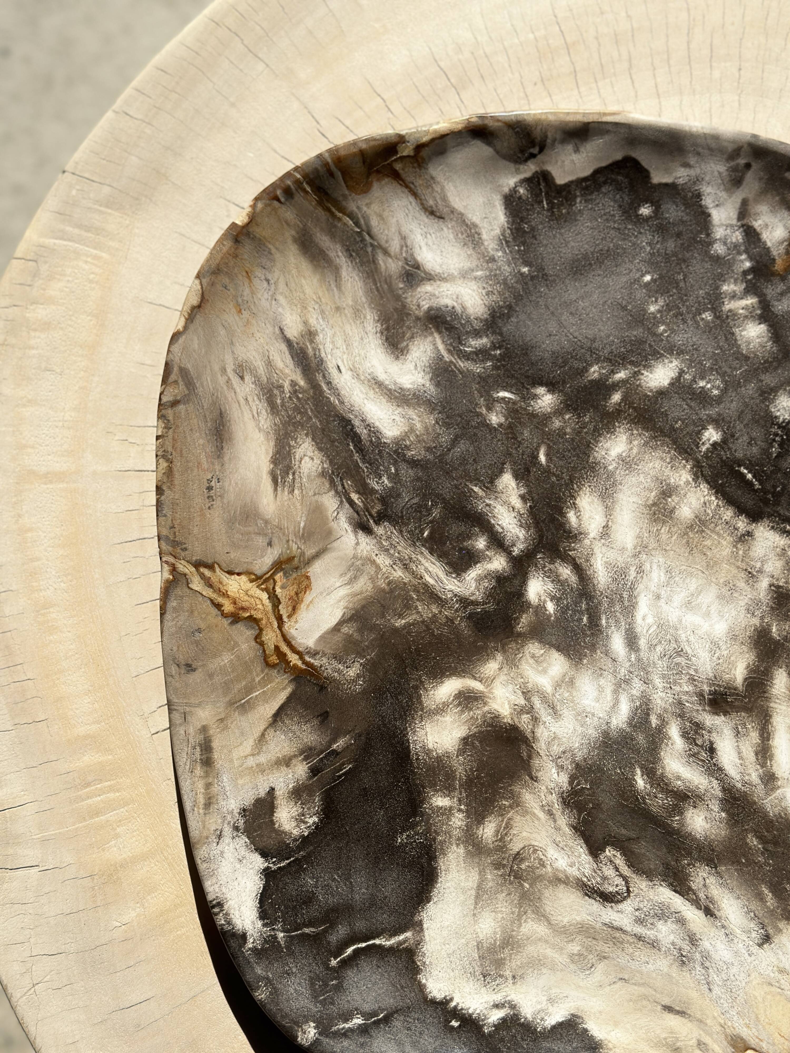 Very large pocket or dish in petrified wood