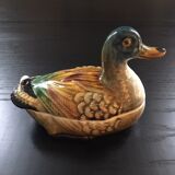 Empty duck pocket in dabbling