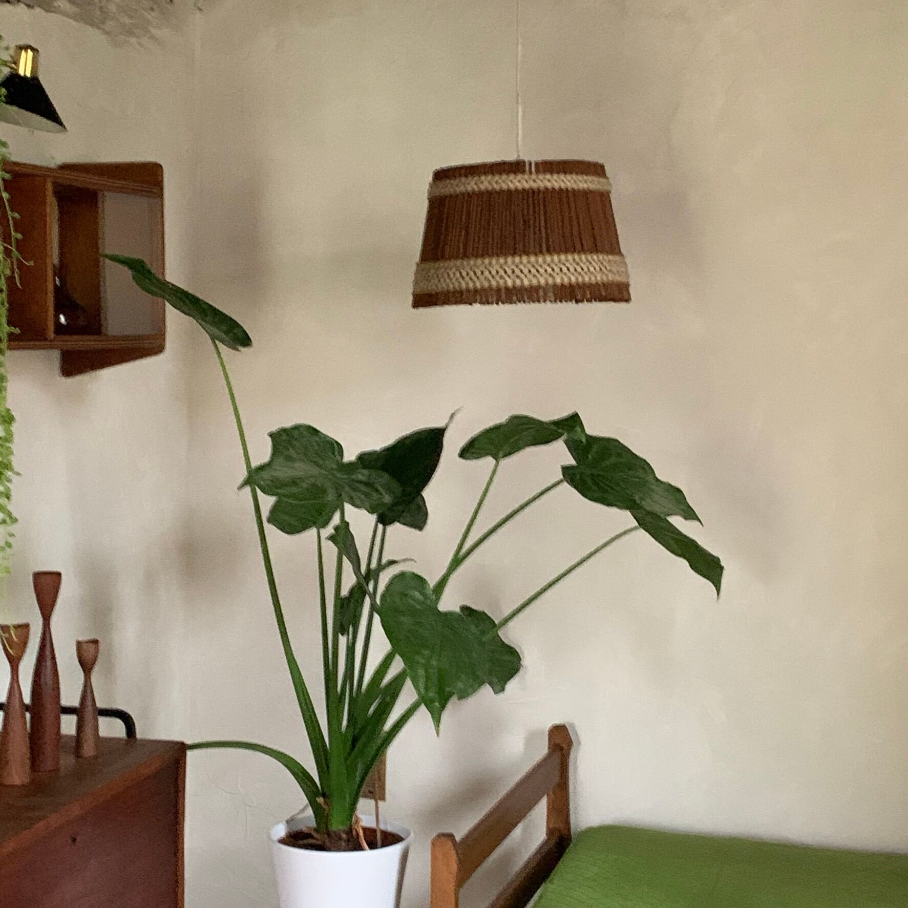 Vintage wool and rattan pendant lamp