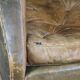 Green antique barrel back wingback chair on wheels