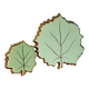 Ceramic trivet and coaster – leaf pattern, year