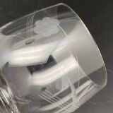 Service pichet et verres ciselé motif Fleurs