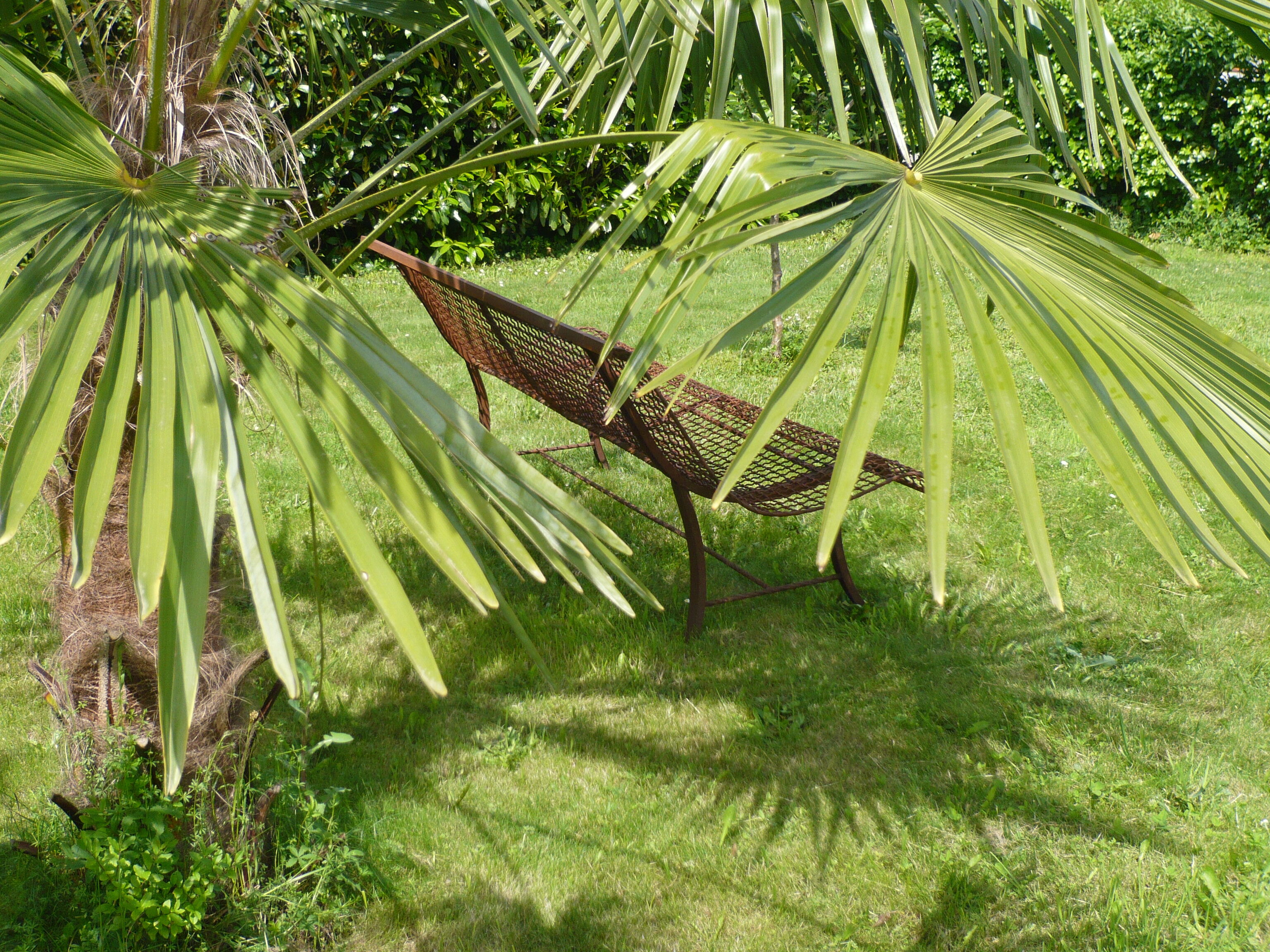 Vintage garden bench