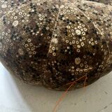 Short velvet pouf with liberty flowers, Ligne Roset 1970