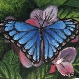 Tableau papillon