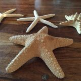 Lot of four authentic starfish