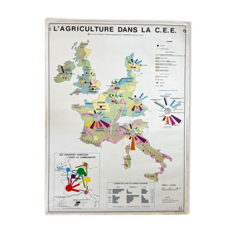 Carte scolaire vintage l' agriculture dans la c.e.e / l' économie industrielle  mdi année 1979