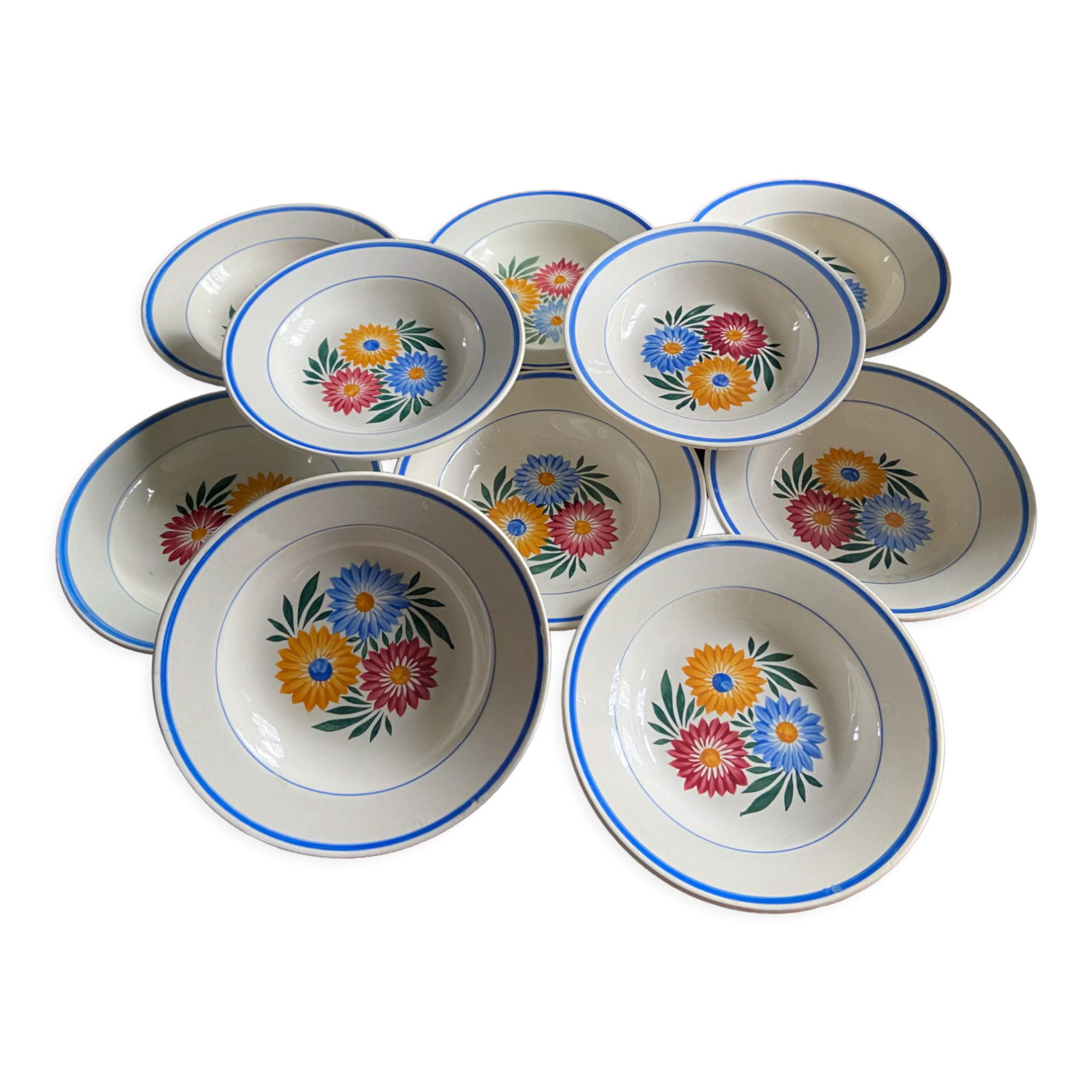 Iron earth plates Blue and pink floral pattern 10 pieces