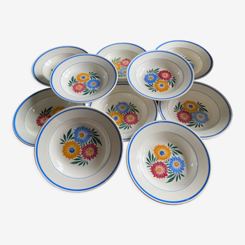 Assiettes terre de fer Motif floral bleu et rose 10 pièces