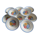 Assiettes terre de fer Motif floral bleu et rose 10 pièces