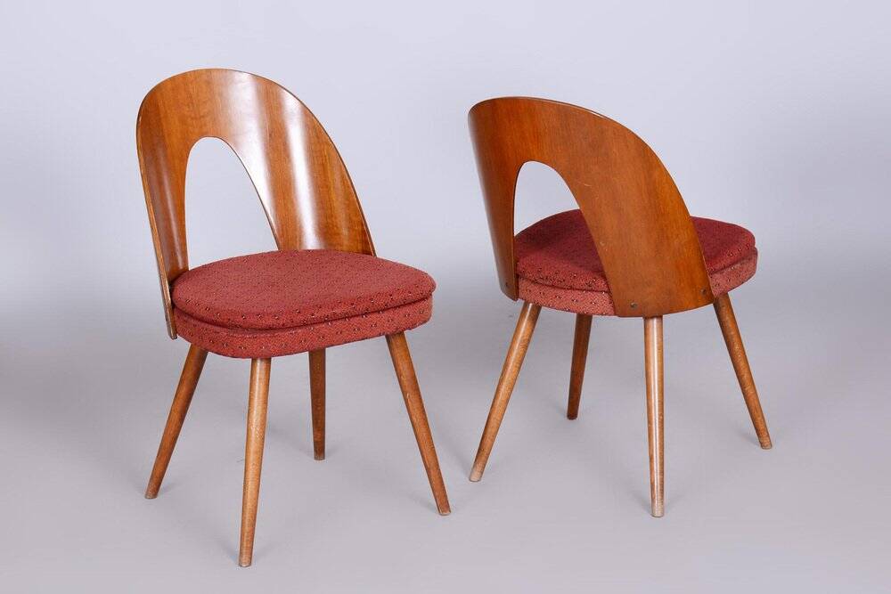 Set of Mid-Century Czech Chairs by Antonin Suman, 1950s
