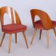 Set of Mid-Century Czech Chairs by Antonin Suman, 1950s