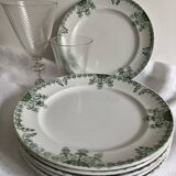 6 Fuchsia Onnaing flat plates