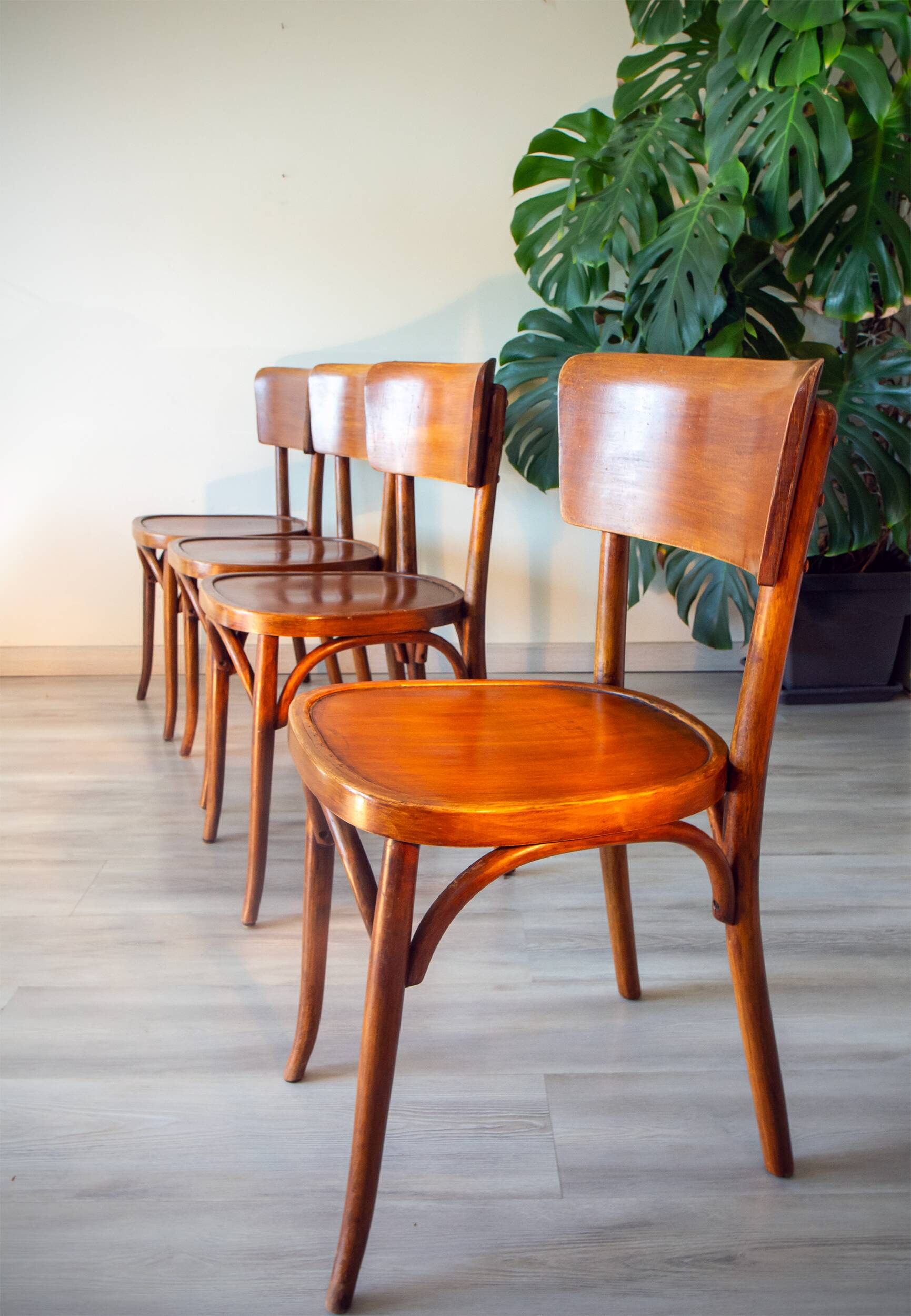 Mahieu chairs 1950 (Romerie, France)