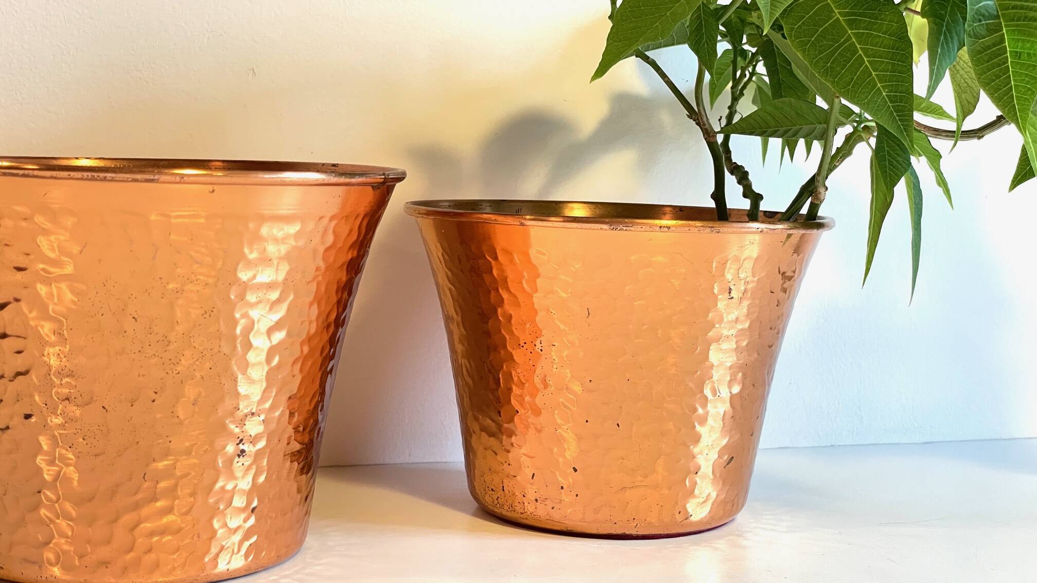 Pair of copper plants 1960s