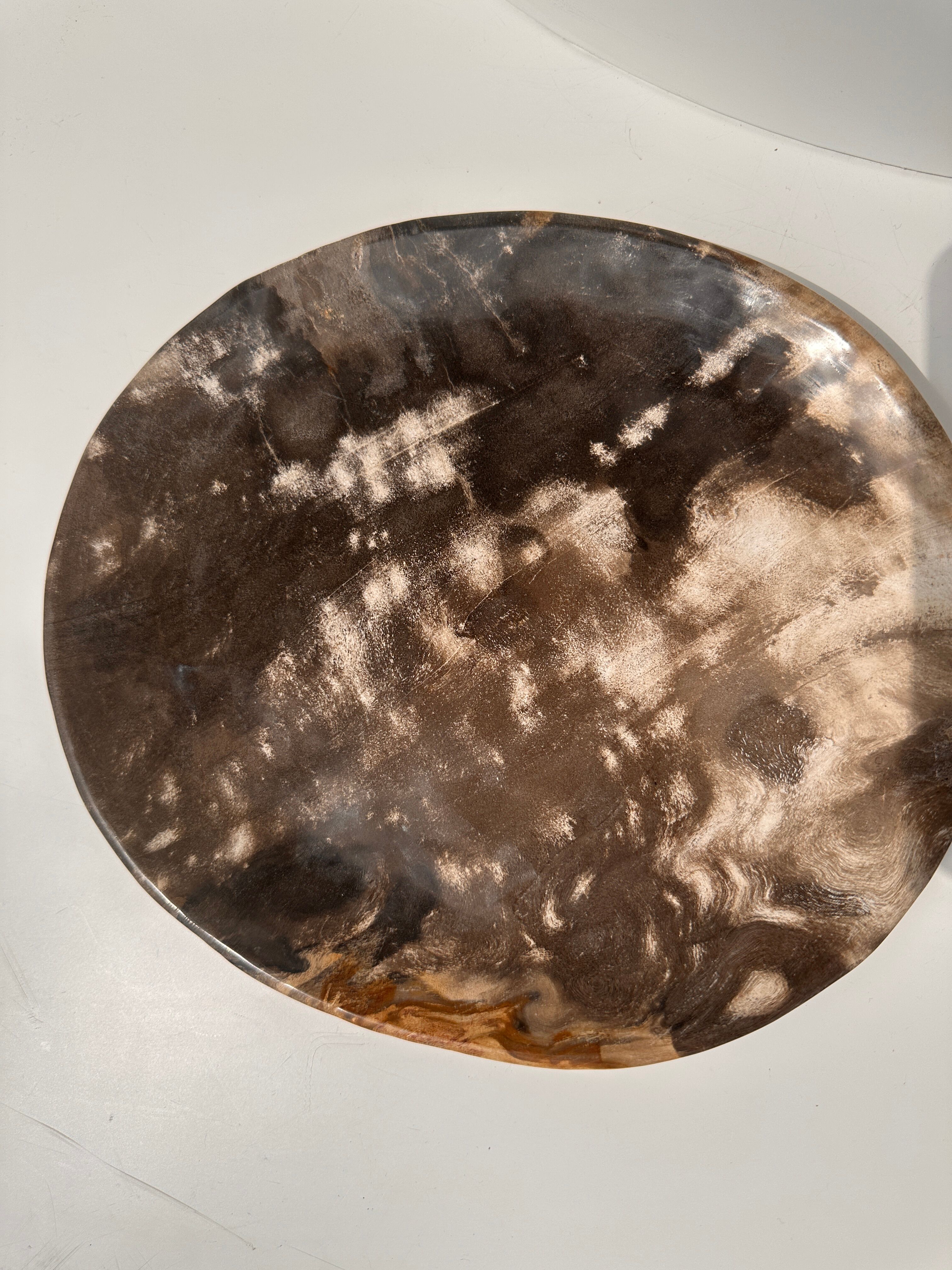 Dish in petrified wood