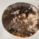 Dish in petrified wood