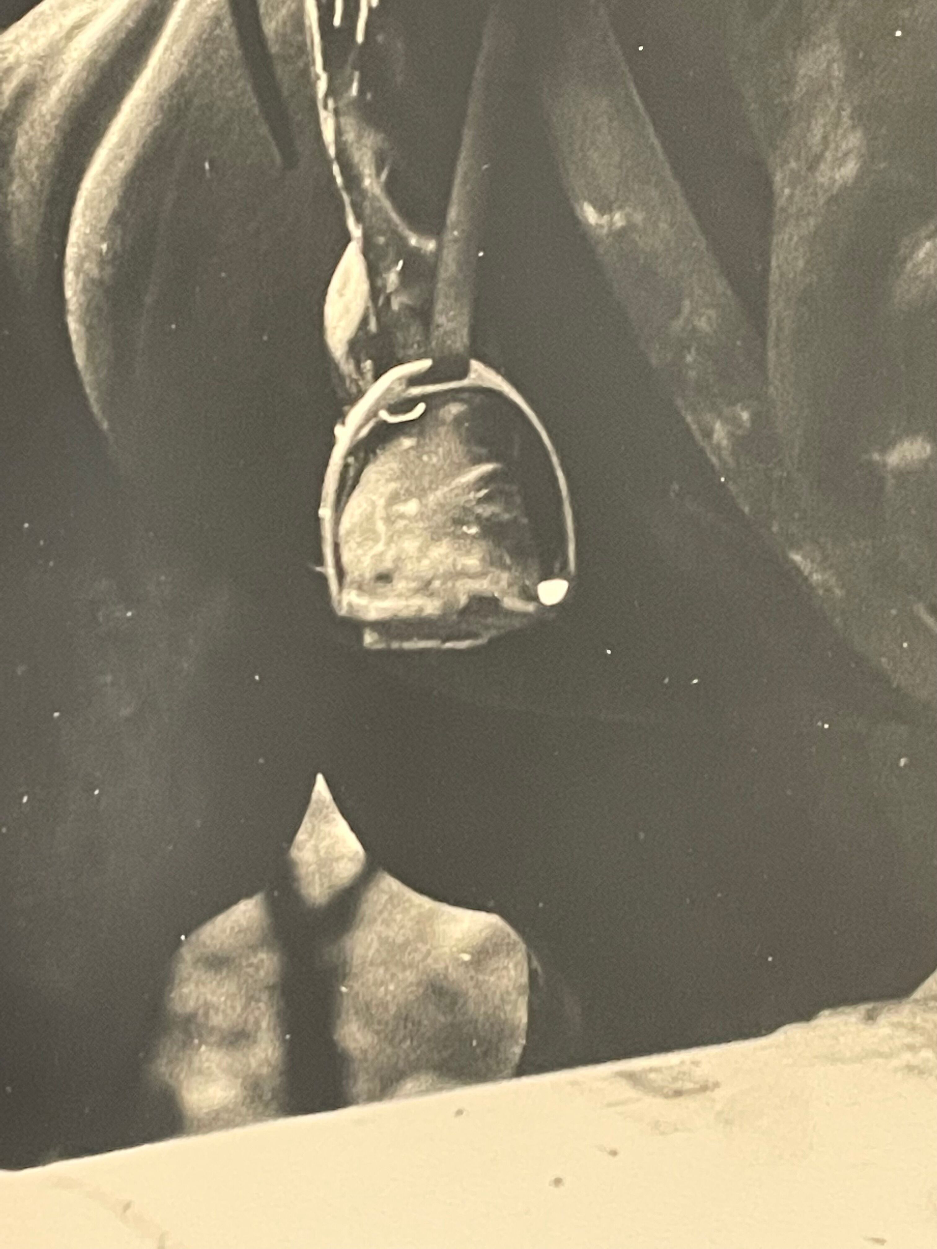 Photograph black and white silver print circa 1970 riding competition