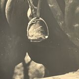 Photograph black and white silver print circa 1970 riding competition