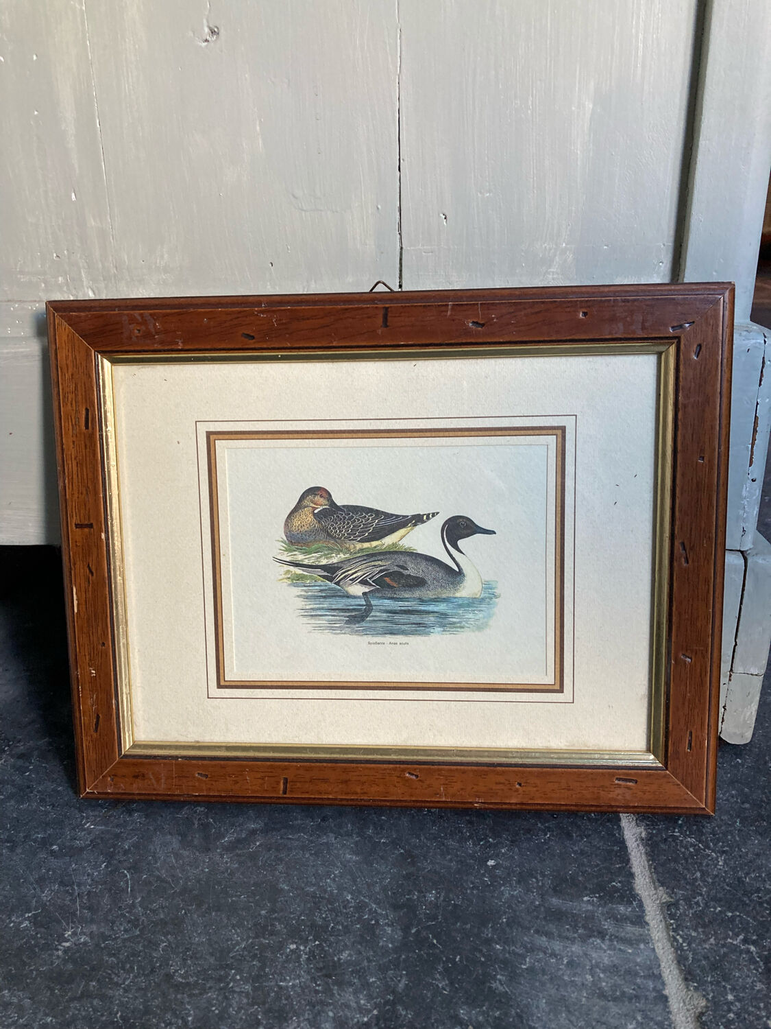 Old painting ducks