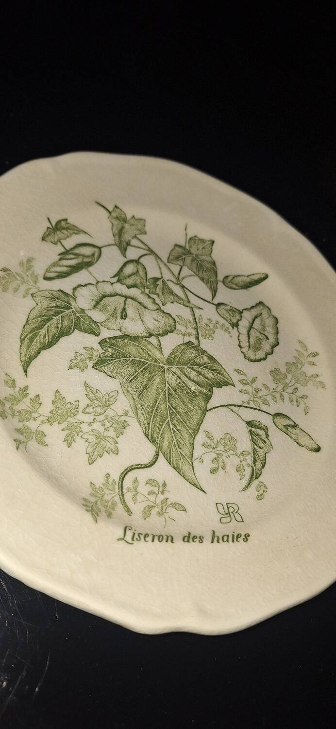 Plate