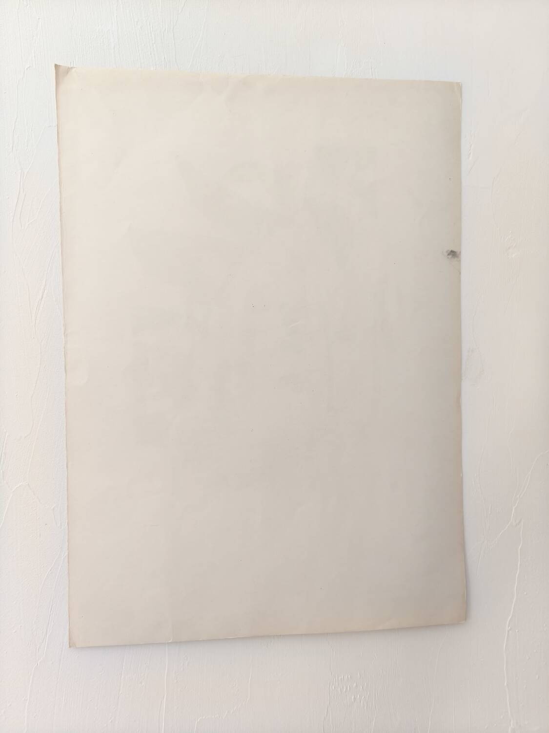 Old botanical illustration